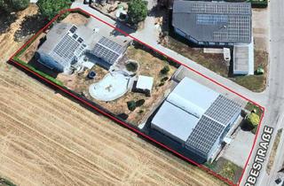 Gewerbeimmobilie kaufen in 79639 Grenzach-Wyhlen, Gewerbepark - Büros, Lager u. Werkstatt dazu ein luxuriöses Wohnhaus mit Natur-Badeteich