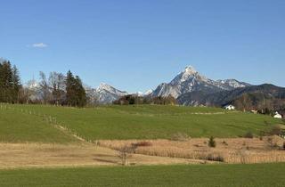 Grundstück zu kaufen in 87629 Füssen, Großes Baugrundstück in erhöhter Lage