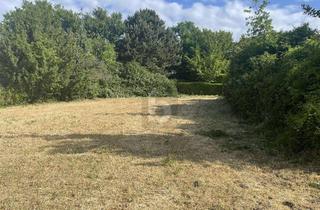 Grundstück zu kaufen in 76646 Bruchsal, SONNIG MIT VIELFÄLTIGER NUTZUNG