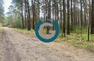 Grundstück zu kaufen in Im Vogelsang 7 ki, 14822 Borkheide, WALDGRUNDSTÜCK - MIT SCHUPPEN, DER UNTER BESTANDSSCHUTZ STEHT - AKTUELL KEINE BEBAUUNG MÖGLICH