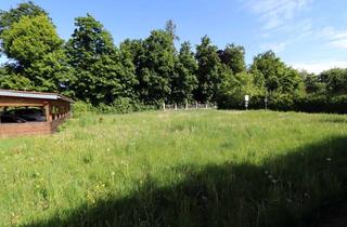 Grundstück zu kaufen in Tegelfeldstraße 31, 85778 Haimhausen, Hier wächst Ihr Traumhaus – sonniges Baugrundstück in Haimhausen