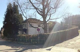 Grundstück zu kaufen in 69483 Wald-Michelbach, Zentral in WaMiBa: Abrissgrundstück im Grünen! MFH und Gewerbe möglich!