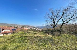 Grundstück zu kaufen in 97903 Collenberg, Ihr Platz zum Aufatmen – Ruhige Lage mit traumhaftem Fernblick über Collenberg