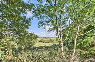 Grundstück zu kaufen in 52379 Langerwehe, Langerwehe: Baugrundstück mit Ausblick