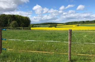 Grundstück zu kaufen in 53894 Mechernich, Traumhaftes Baugrundstück mit unverbaubarem Blick in Mechernich – Ruhe und Sonne