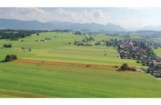 Grundstück zu kaufen in 86984 Prem, Prem Grundstück landwirtschaftliche Fläche mit ca 7050 m²