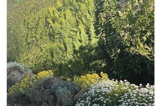 Grundstück zu kaufen in 30916 Isernhagen, Einzigartiges Grundstück in bester Lage in Isernhagen K.B.