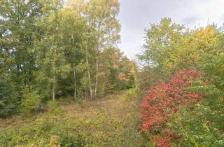 Grundstück zu kaufen in 25451 Quickborn, Großzügiges Baugrundstück in attraktiver Lage von Quickborn