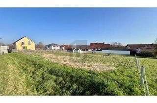 Grundstück zu kaufen in 78597 Irndorf, HISTORISCHER FLAIR UND FAMILIÄRE UMGEBUNG