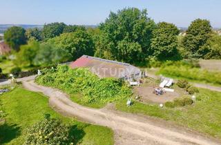 Immobilie mieten in 01445 Radebeul, Großzügiger Garten mit Weinberg, Reben und 200 m² Gewächshaus