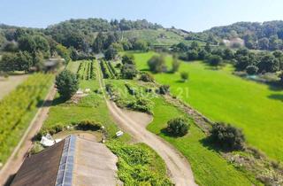 Immobilie mieten in 01445 Radebeul, Ihr privater Weinberg auf 4.110 m²