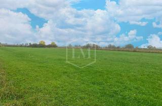 Immobilie kaufen in 53340 Meckenheim, Acker- und Grünland in Meckenheim