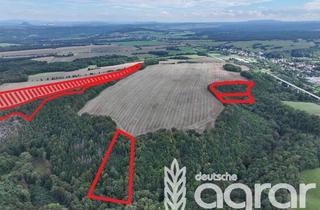 Gewerbeimmobilie kaufen in 01819 Bahretal, Stattlicher Laubmischwald (ca. 3 ha) im Bahretal - Sächsische Schweiz