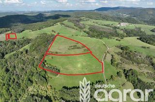 Gewerbeimmobilie kaufen in 67808 Schweisweiler, Saftiges Grünland oder Pferdekoppel bzw. Weide (ca. 7 ha) zw. Rockenhausen und Winnweiler