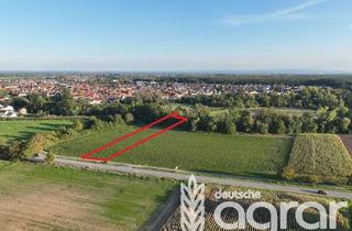 Gewerbeimmobilie kaufen in 76761 Rülzheim, Attraktiver Acker für Jedermann in Rülzheim bei Karlsruhe - 80er BP - pachtfrei