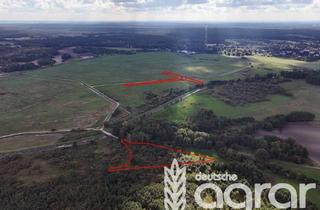 Gewerbeimmobilie kaufen in 17367 Eggesin, Grünland mit kleinem Biotop (ca. 1,6 ha) bei Eggesin im LK Vorpommern-Greifswald für Jedermann