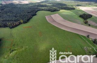 Gewerbeimmobilie kaufen in 01909 Großharthau, Acker & Grünland (ca. 1,5 ha) zw. Bischofswerda und Dresden in Seeligstadt