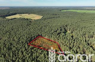 Gewerbeimmobilie kaufen in 19288 Alt Krenzlin, Eichen-Zukunftswald (ca. 0,8 ha) zw. Hamburg und Berlin