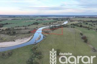 Gewerbeimmobilie kaufen in 04838 Zschepplin, Acker mit Uferfläche (ca. 2,1 ha) bei Bad Düben