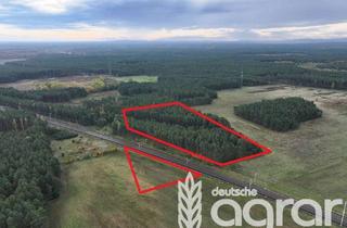 Gewerbeimmobilie kaufen in 02999 Lohsa, Wald und Grünland (ca. 3 ha) bei Lohsa