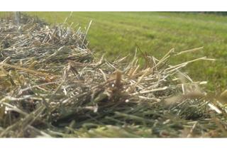 Gewerbeimmobilie kaufen in 85253 Erdweg, Grünland -ca. 1,26 ha- in Gemeinde Erdweg