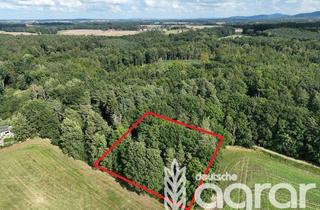 Gewerbeimmobilie kaufen in 01877 Demitz-Thumitz, Eichenmischwald mit Durchforstungspotential zw. Bautzen und Bischofswerda bei Demitz-Thumitz