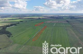 Gewerbeimmobilie kaufen in 17379 Ferdinandshof, Grünland (ca. 5,3 ha) zw. Friedland und Ueckermünde im Landkreis Vorpommern-Greifswald