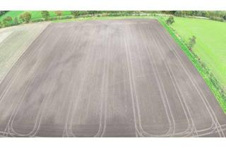 Gewerbeimmobilie kaufen in 48683 Ahaus, Landwirtschaftliche Fläche in Ahaus-Alstätte zu verkaufen!