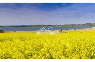 Immobilie kaufen in 23942 Dassow, Seltene Gelegenheit für Investoren