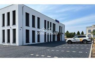 Büro zu mieten in 33154 Salzkotten, Lichtdurchfluteter Büroraum zu vermieten