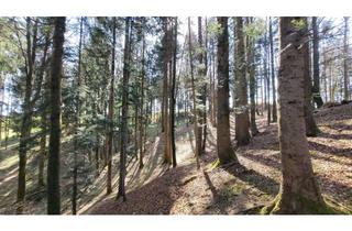 Immobilie kaufen in 83737 Irschenberg, Waldgrundstücke in Irschenberg, Ortsteil Jedling