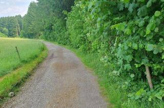 Immobilie kaufen in 83607 Holzkirchen, Waldgrundstück mit guter Zufahrt nahe Holzkirchen zu verkaufen
