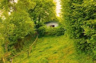 Haus kaufen in 54636 Rittersdorf, Rittersdorf - Haus in der Eifel 10% Rendite