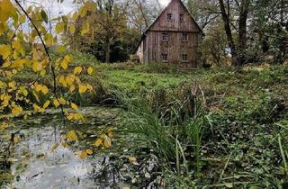 Einfamilienhaus kaufen in 09619 Mulda, Mulda/Sa. - Wohnen im Einklang mit der Natur, Freistehendes Einfamilienhaus