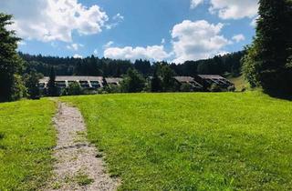 Wohnung kaufen in 77887 Sasbachwalden, Sasbachwalden - Schöne 1-Zimmer Ferienwohnung in Sasbachwalden-Brandmatt