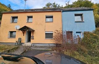 Haus kaufen in 55779 Heimbach, Heimbach - Zweifamilienhaus mit großem Grundstück und viel Potenzial