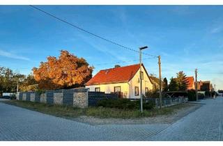 Einfamilienhaus kaufen in 06886 Lutherstadt Wittenberg, Wittenberg Lutherstadt - Einfamilienhaus provisionsfrei