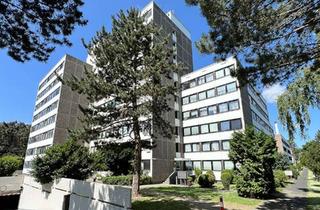 Wohnung kaufen in 50169 Kerpen, Freie, sanierungsbedürftige 1-Zimmer-Wohnung in Kerpen-Brüggen