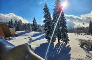 Wohnung kaufen in Am Predigtstuhl, 94379 Sankt Englmar, Wunderschöne Wohnung im Bayrischen Wald!! Tolle Ausstattung