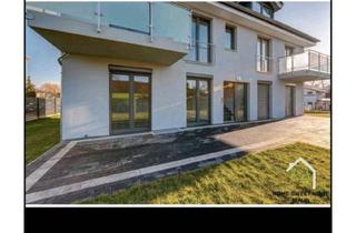 Wohnung mieten in Pasewalker Straße 101, 13127 Französisch Buchholz, Nachmieter gesucht für moderne 2-Zimmer-Wohnung