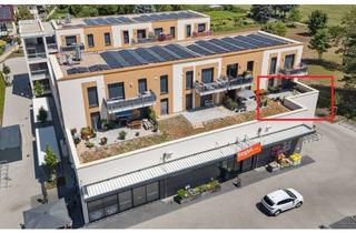 Wohnung mieten in 65474 Bischofsheim, barrierefreie & moderne 2-Zimmer-Wohnung mit Terrasse