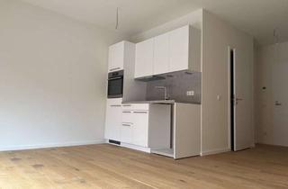 Wohnung mieten in Am Kutscherhaus, 12555 Köpenick, Helles Studio mit offener Küche