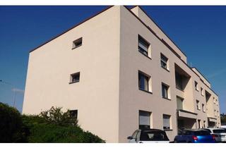 Wohnung mieten in 64347 Griesheim, ### GROßE 1 ZIMMERWOHNUNG MIT EINBAUKÜCHE UND MODERNEM BAD ###