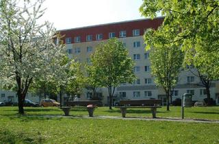 Wohnung mieten in Remscheider Straße 39, 01796 Pirna, Familienfreundliche 3-Raum-Wohnung mit Blick ins Grüne