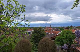 Wohnung mieten in 77799 Ortenberg, Charmantes 1-Zimmer-Apartment