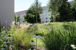 Wohnung mieten in Varkausring 93, 01796 Pirna, Helle 2-Raum-Wohnung in den Sonnensteiner Höfen