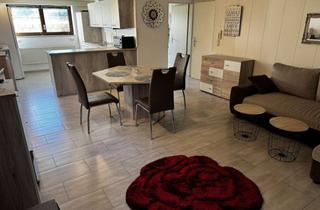 Wohnung mieten in 76437 Rastatt, Möblierte helle, freundliche Souterrainwohnung 50qm.