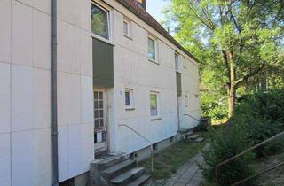 Wohnung mieten in Hugo-Otto-Zimmer-Str. 56, 21502 Geesthacht, günstige, frisch sanierte 1,5-Zimmer-Dachgeschoss-Wohnung