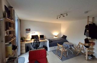 Wohnung mieten in Hornscher Weg 93, 32657 Lemgo, Nachmieter für 1-Zimmer-Apartment zum 01.12.2025 gesucht