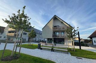 Wohnung mieten in 87776 Sontheim, Wunderschöne 3-Zimmer-Neubauwohnung zu vermieten!